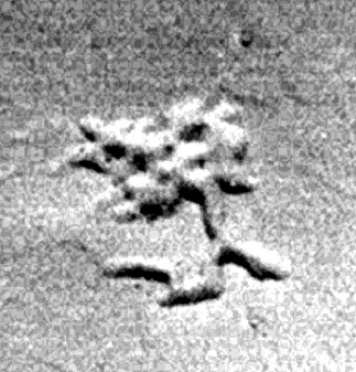 Fig. 5 The Finished Martian Airport
