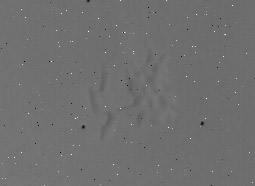 Fig. 2 Raw Mariner 9 image 07938353<