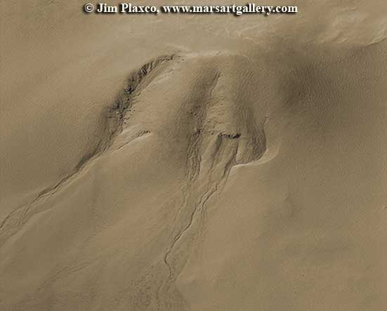 Martian Gully Surprise