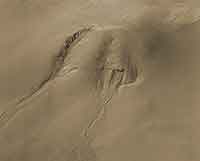 Martian Gully Surprise