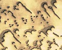 Martian Sand Writing