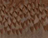 Martian Shark Teeth Dunes