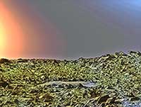 Alien Spectrum